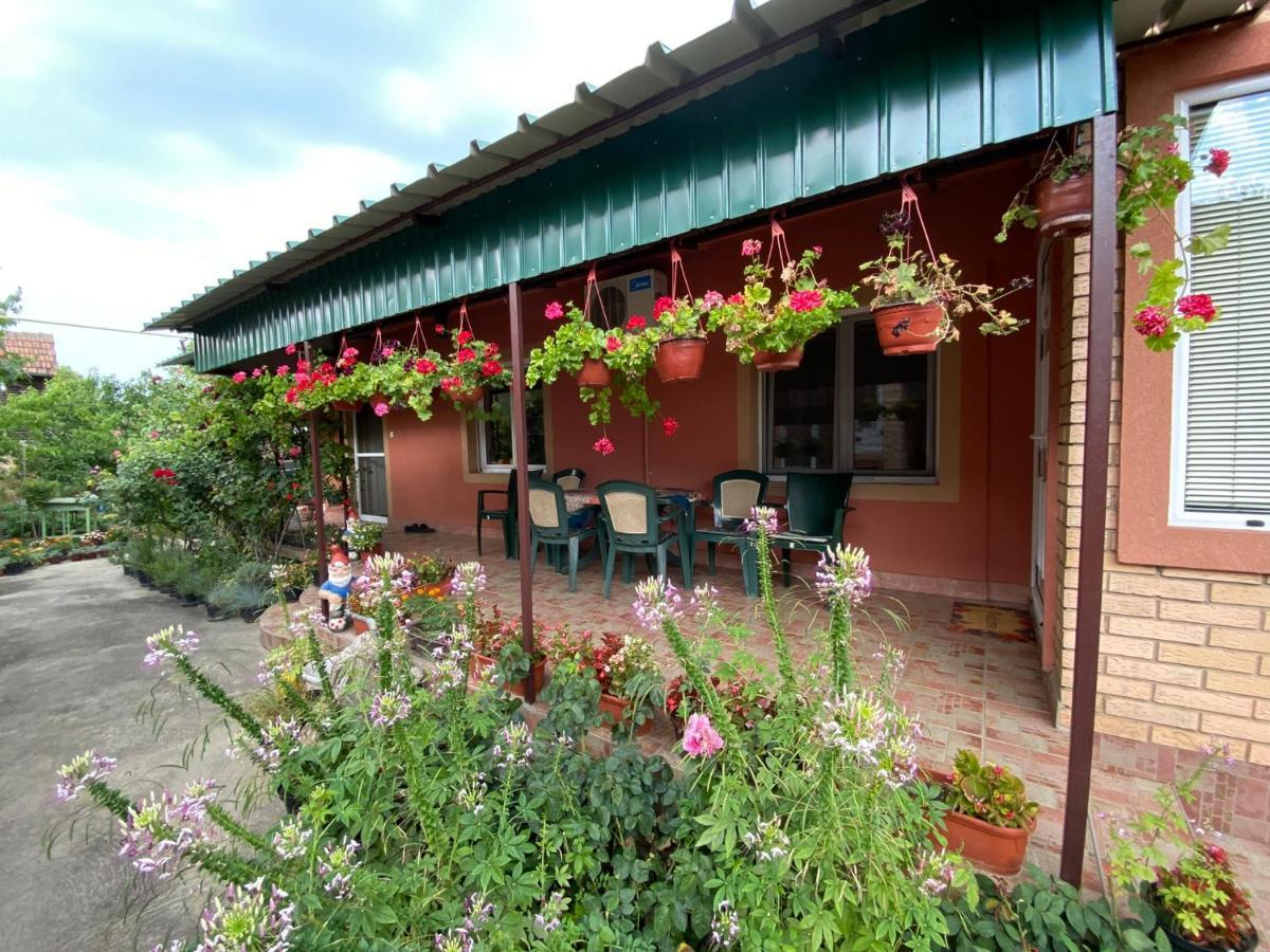Sud ,,Antal I Olga,, Bed & Breakfast Skorenovac Exterior photo