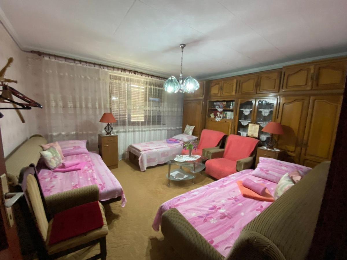 Sud ,,Antal I Olga,, Bed & Breakfast Skorenovac Room photo